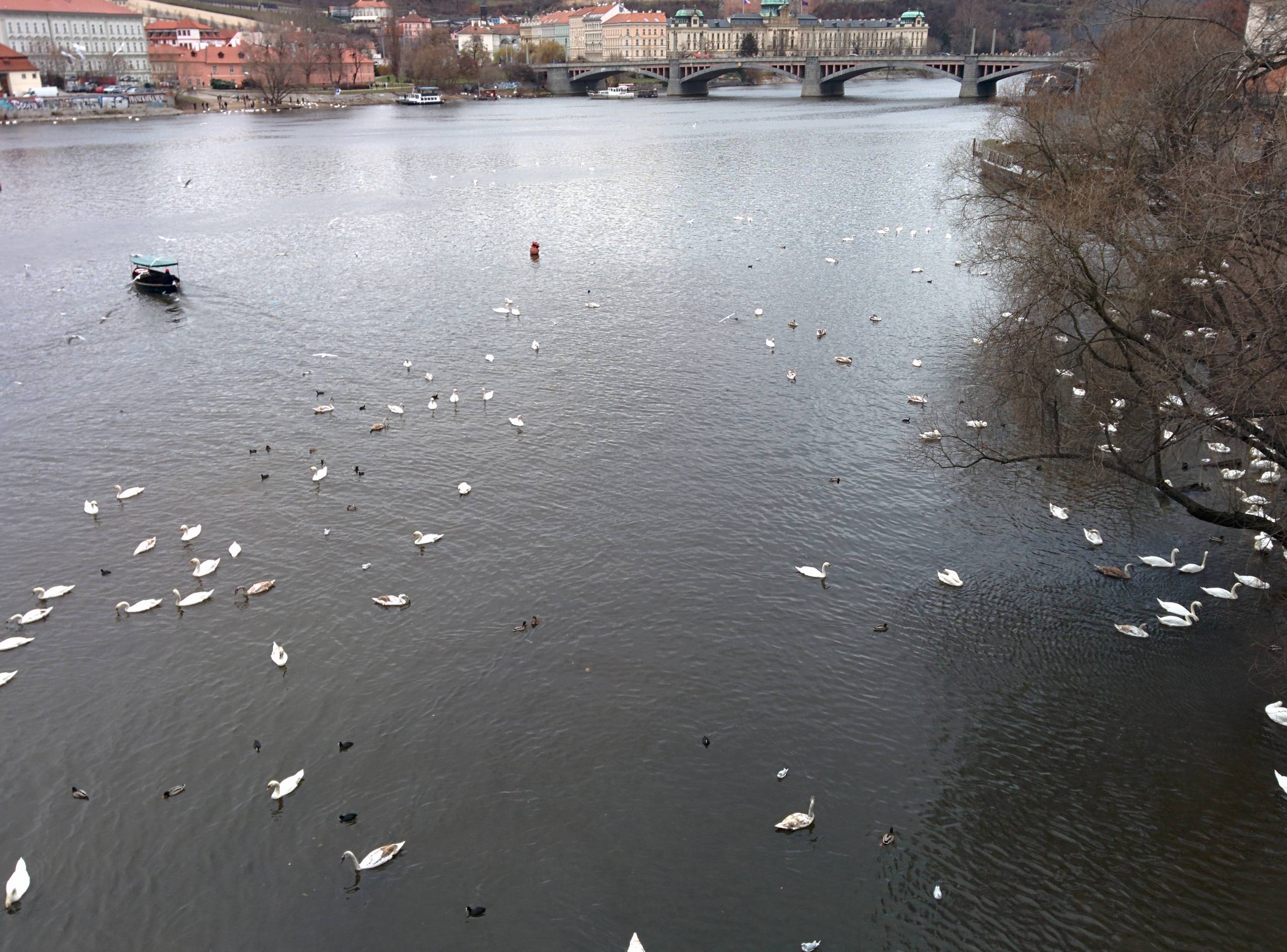 2014 Prag   033